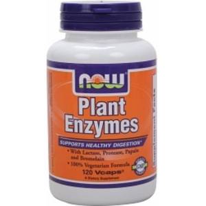 Plant Enzymes