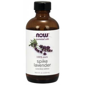 Essential Oil, Spike Lavender