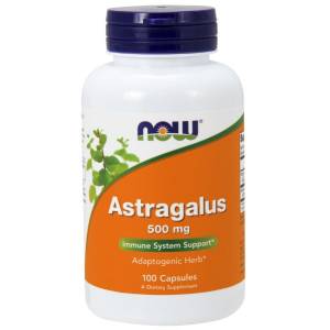 Astragalus, 500 mg - 100 caps